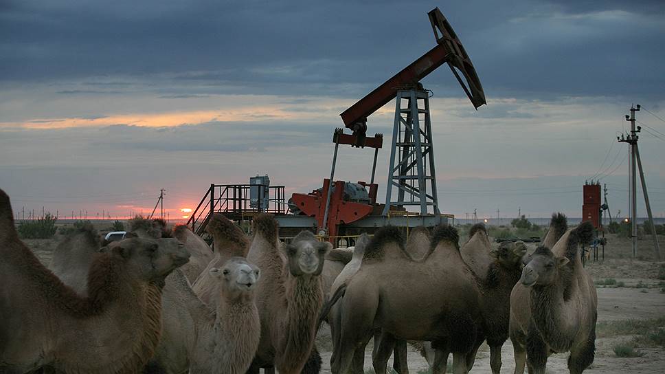 Топливно-энергетический комплекс Казахстана формирует четверть ВВП страны 